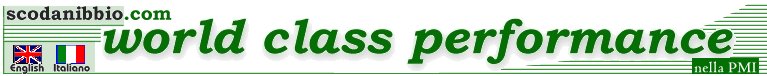 Carlo Scodanibbio - Consulenza 
all'Industria - performance world-class, snella, nella PMI